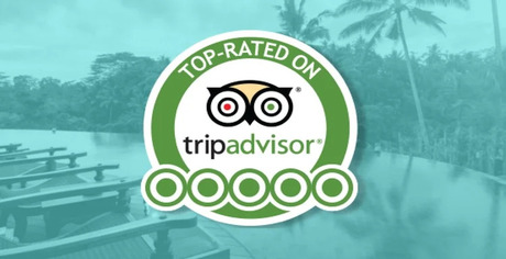 Tripadvisor Review